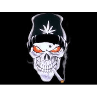IV-B emblem