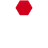 BASTN emblem