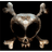 IBL emblem
