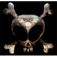 IBL emblem