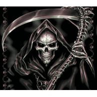 DS- emblem
