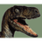 ACOO emblem