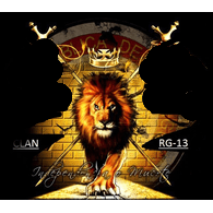 RG-13 emblem