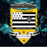 FSB29 emblem