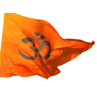 _RSS_ emblem