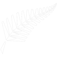 FERNS emblem