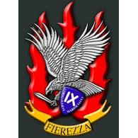 IX emblem