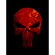 25TH emblem