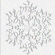 K49S emblem