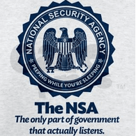 N_S_A emblem