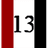13PZ emblem