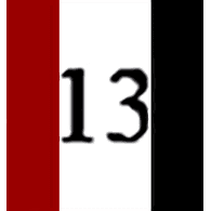 13PZ emblem