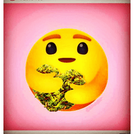 I420I emblem