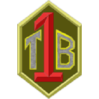 T1B emblem