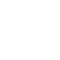 V-C-L emblem