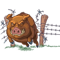 RIBS emblem