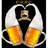 CBRO6 emblem