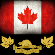 CDN-T emblem