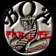 B-O-A emblem