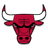 BULLS emblem