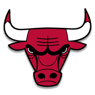 BULLS emblem