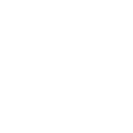 B-O-V emblem