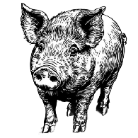 PLA emblem
