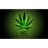 OG420 emblem