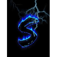-S emblem