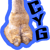 CYG emblem