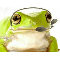 GFROG emblem