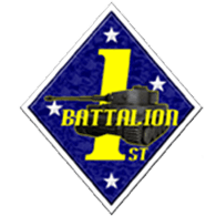 1STBN emblem