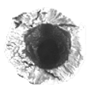 MIXUP emblem
