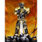 T-R-W emblem
