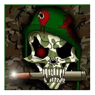 STST emblem