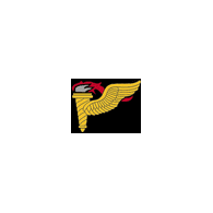 1PFDR emblem