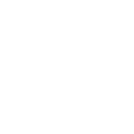 FISHI emblem