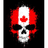 DCAN emblem
