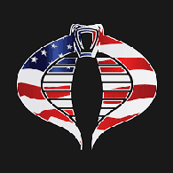 T1L emblem