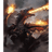 WAR79 emblem
