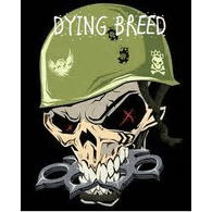 D_Y_B emblem