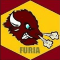 FURIA emblem