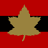 NFIDL emblem