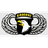 SDHS emblem