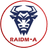 RAID2 emblem