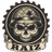 RAIZ emblem