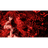 TWOW emblem
