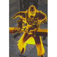 HLS emblem