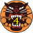 DHO4 emblem