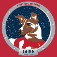764TH emblem